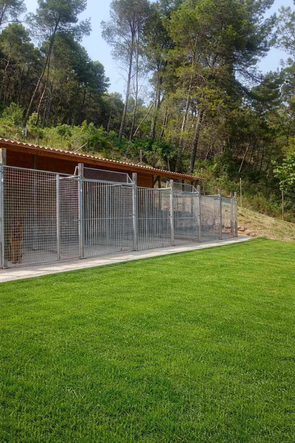 Instalaciones de la residencia canina