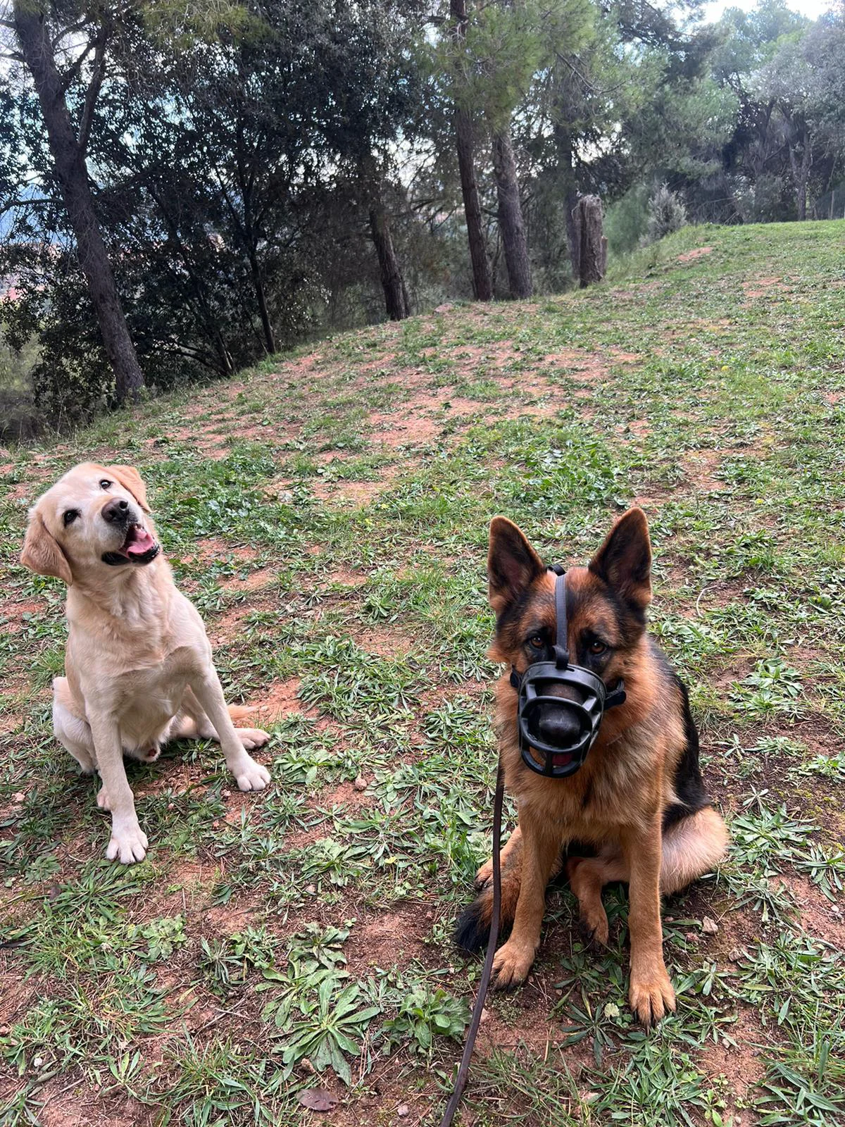 Diversión en la residencia