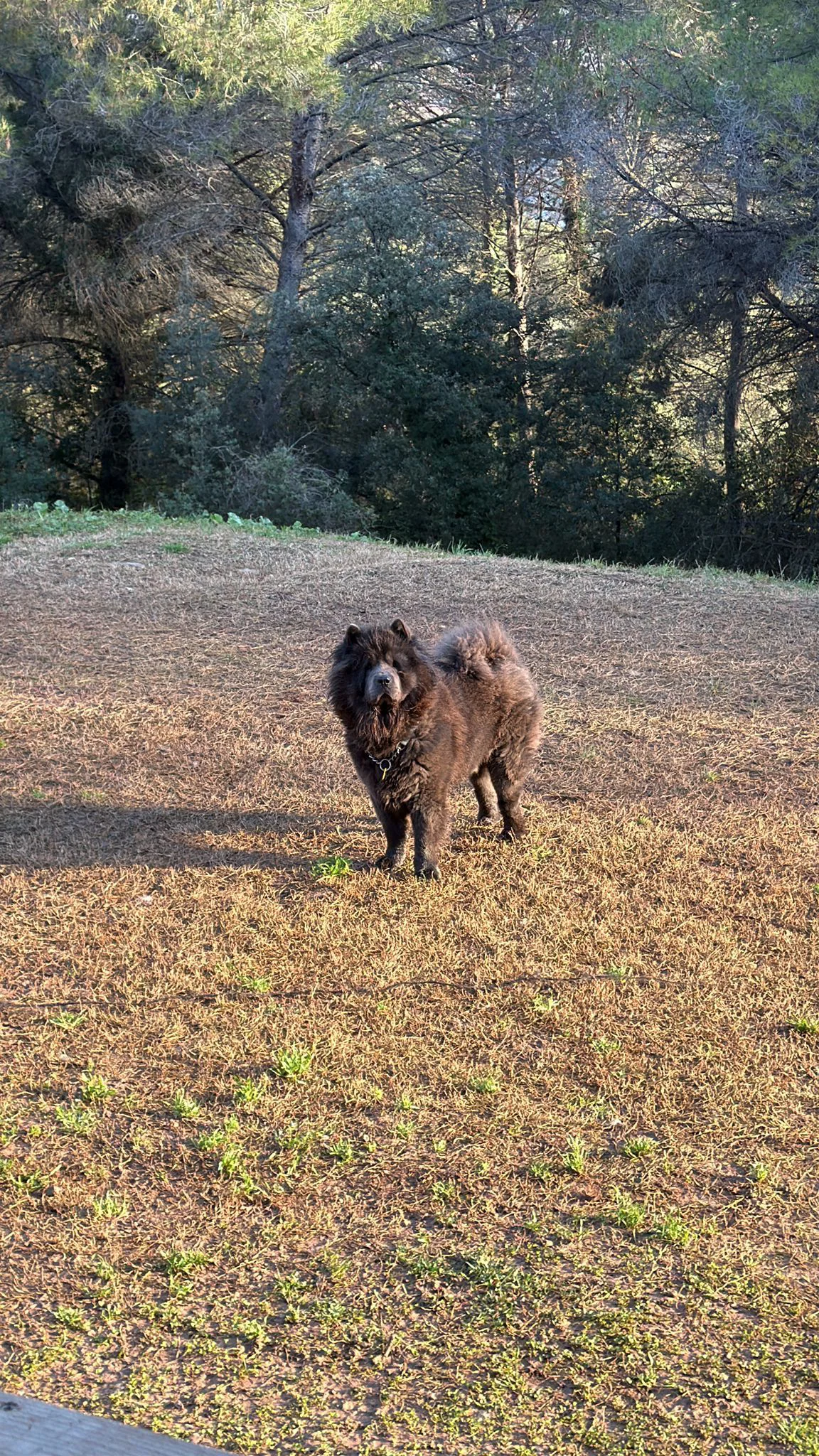 Atención personalizada